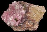 Cobaltoan Calcite Crystal Cluster - Bou Azzer, Morocco #90319-1